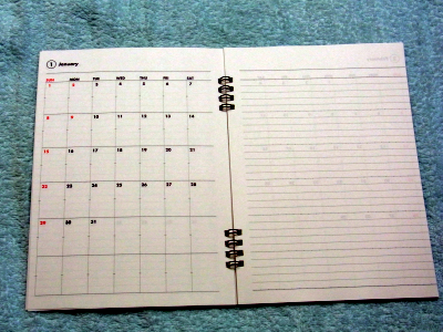 2012diary08