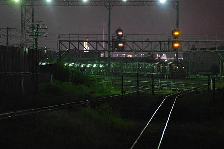 IMGP2568