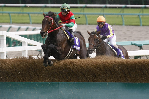 中山グランドジャンプ_マイネルネオス1