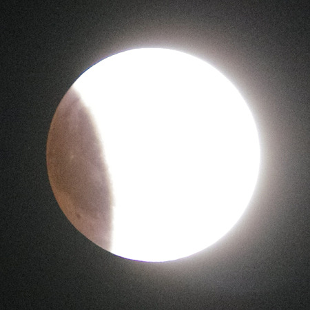 2203K_5_4959