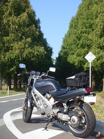 DSC09061