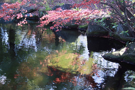 西山公園：紅葉と池