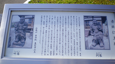 IMGP5518