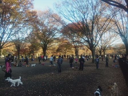 111204_153512