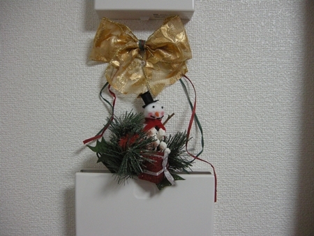 DSCN1432