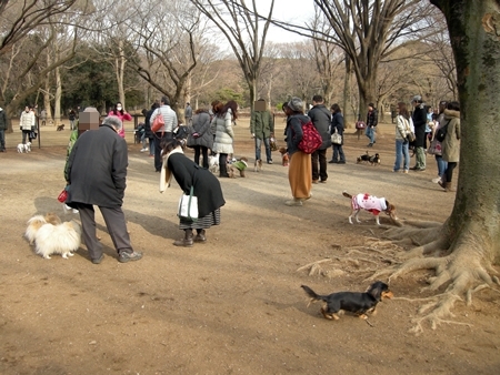 DSCN1766