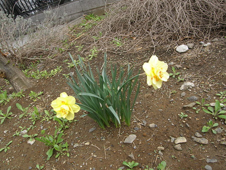 P4130011
