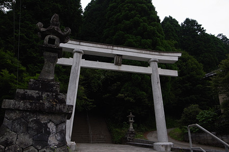 RIMG0785