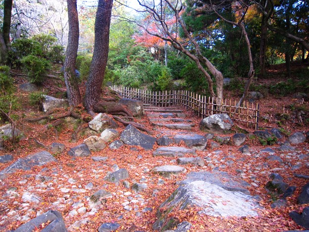 円山公園