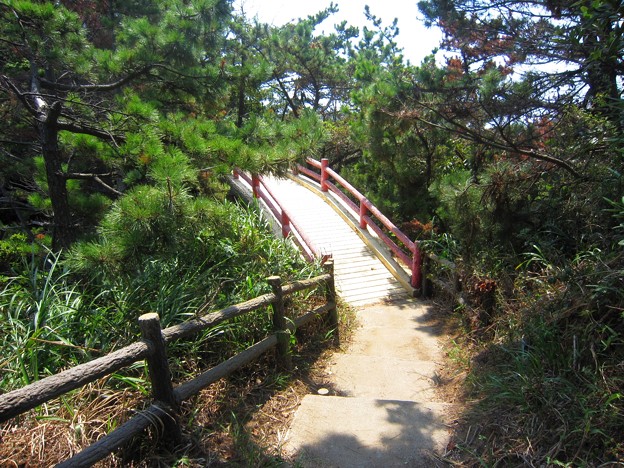 篠島北部