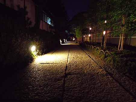 DSCN0129