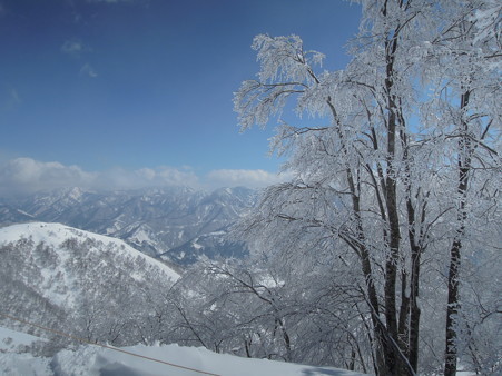 DSCN0646