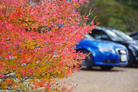 ナイスコントラスト