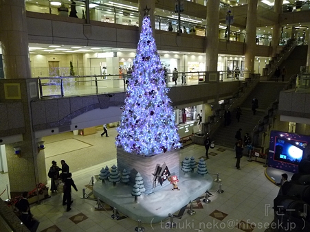 111122-ランドマークタワー ツリー (11)