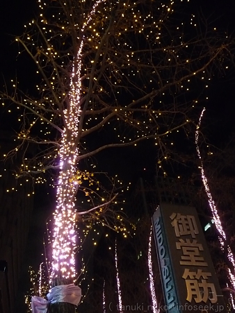 111229-御堂筋イルミネーション (19)