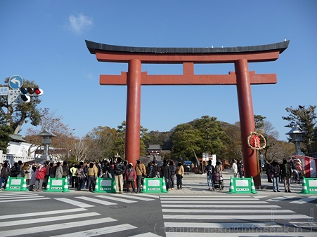 120104-八幡さま (3)