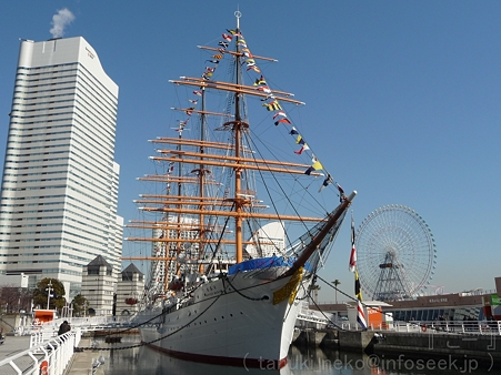 110127-日本丸 (11)