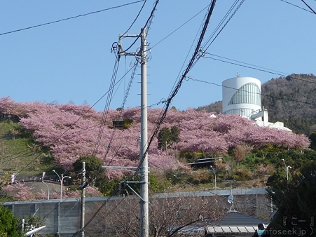 120329-松田山入口 (3)