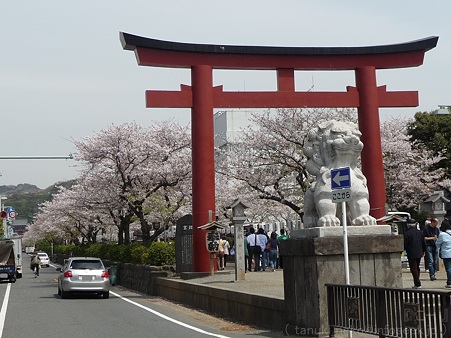 120413-八幡さま (68)