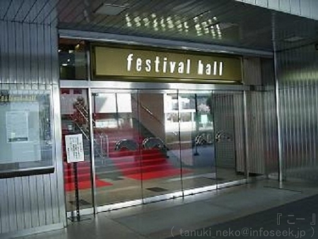 フェス (3)