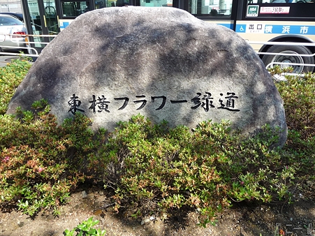 110622-東横廃線 反町→横浜 (81)