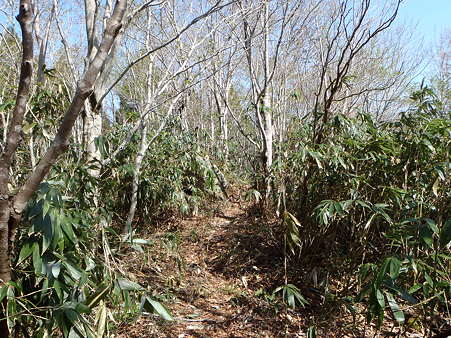 2012050510