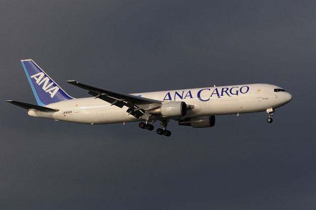 ana cargo