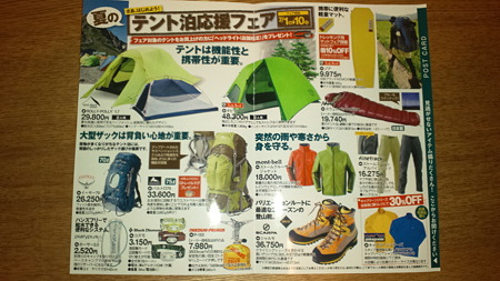 WILD-1