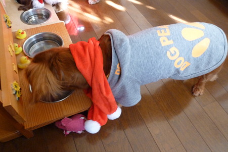 クリスマス