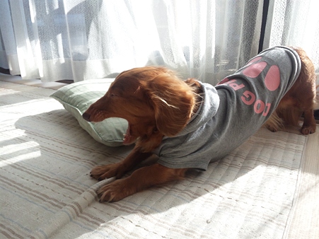 ふぁ~