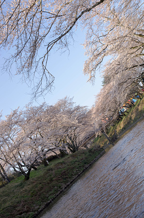 IMGP6585