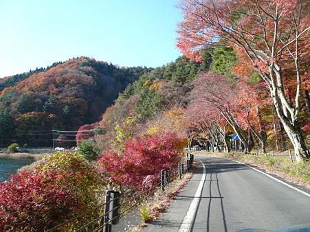 河口湖 もみじトンネル 2