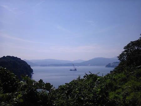 「海は綺麗だ」