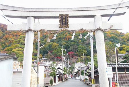 0裏山