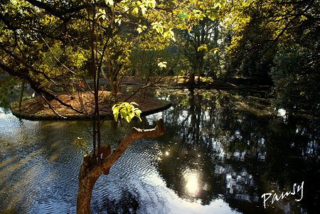 鶴岡八幡宮・・18