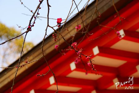 紅と朱・・荏柄天神社・・6