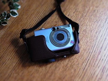 RIMG0208