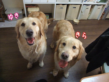 ゆき&きら