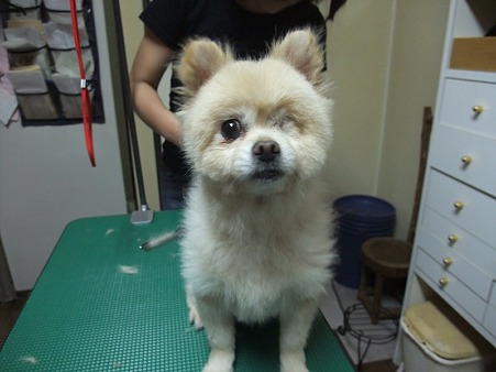 さて、何をしてるんでしょうか?