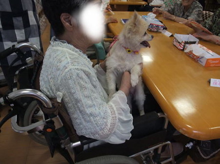 また会えたね