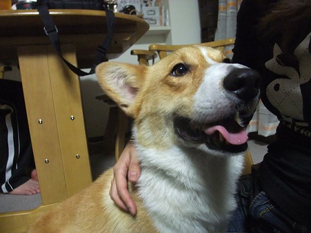 ちなみにこれは私と^^