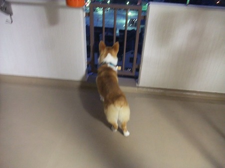 しばらく外を眺めていた幸太