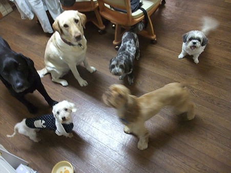 みんなと過ごした日々を