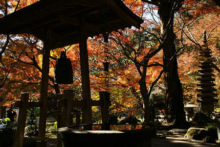 覚園寺境内の紅葉!(111210)
