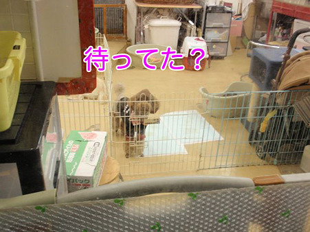 ҂ẮH