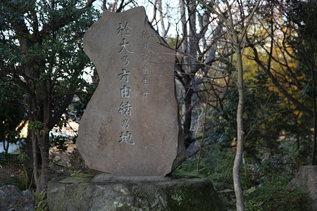 椎の木屋敷跡 - 03