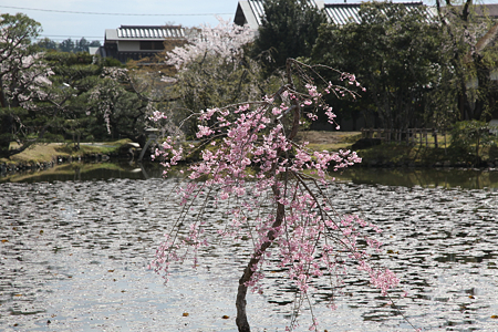 衆楽園 - 07
