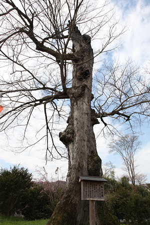 中山神社 - 03