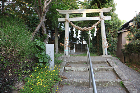 馬伏塚城 - 1