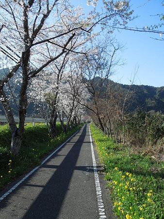 DSCN1704